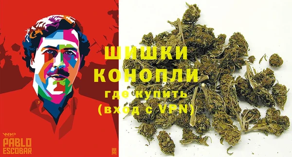 spice Бугульма