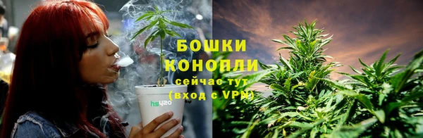 spice Бугульма