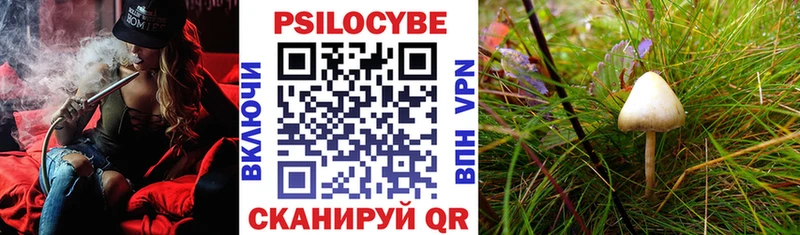 Псилоцибиновые грибы ЛСД  kraken зеркало  Пятигорск 